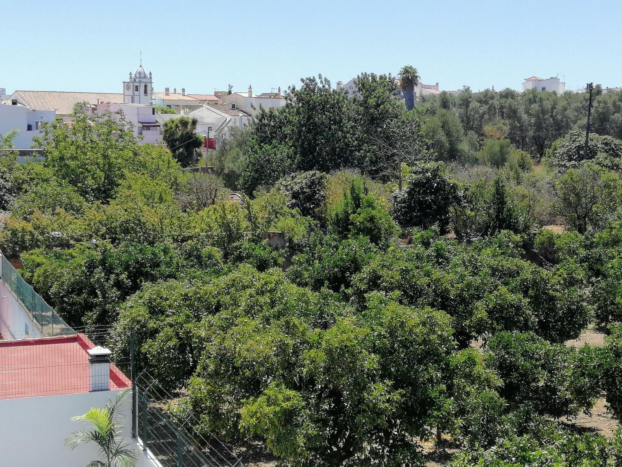 מונקאראפאצ'ו Villa Cerro E Mar מראה חיצוני תמונה